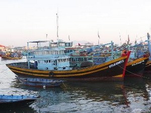 Vietnam Fisheries Association rejects China’s fishing ban  - ảnh 1